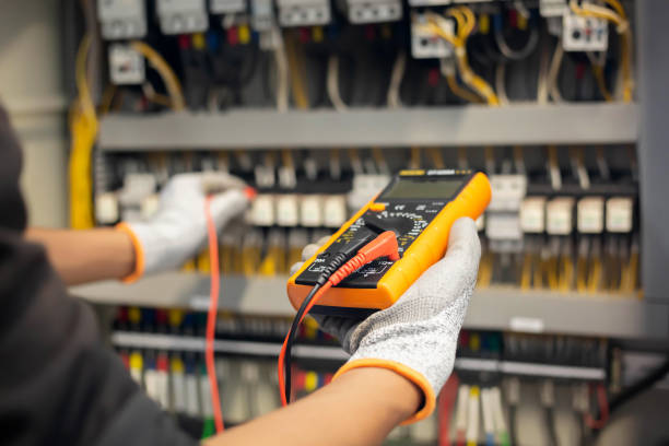 Best Electrical Panel Upgrades  in Benavides, TX